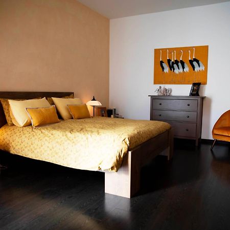 Sound Of Colors - Art Design Apartment Desenzano del Garda Kültér fotó
